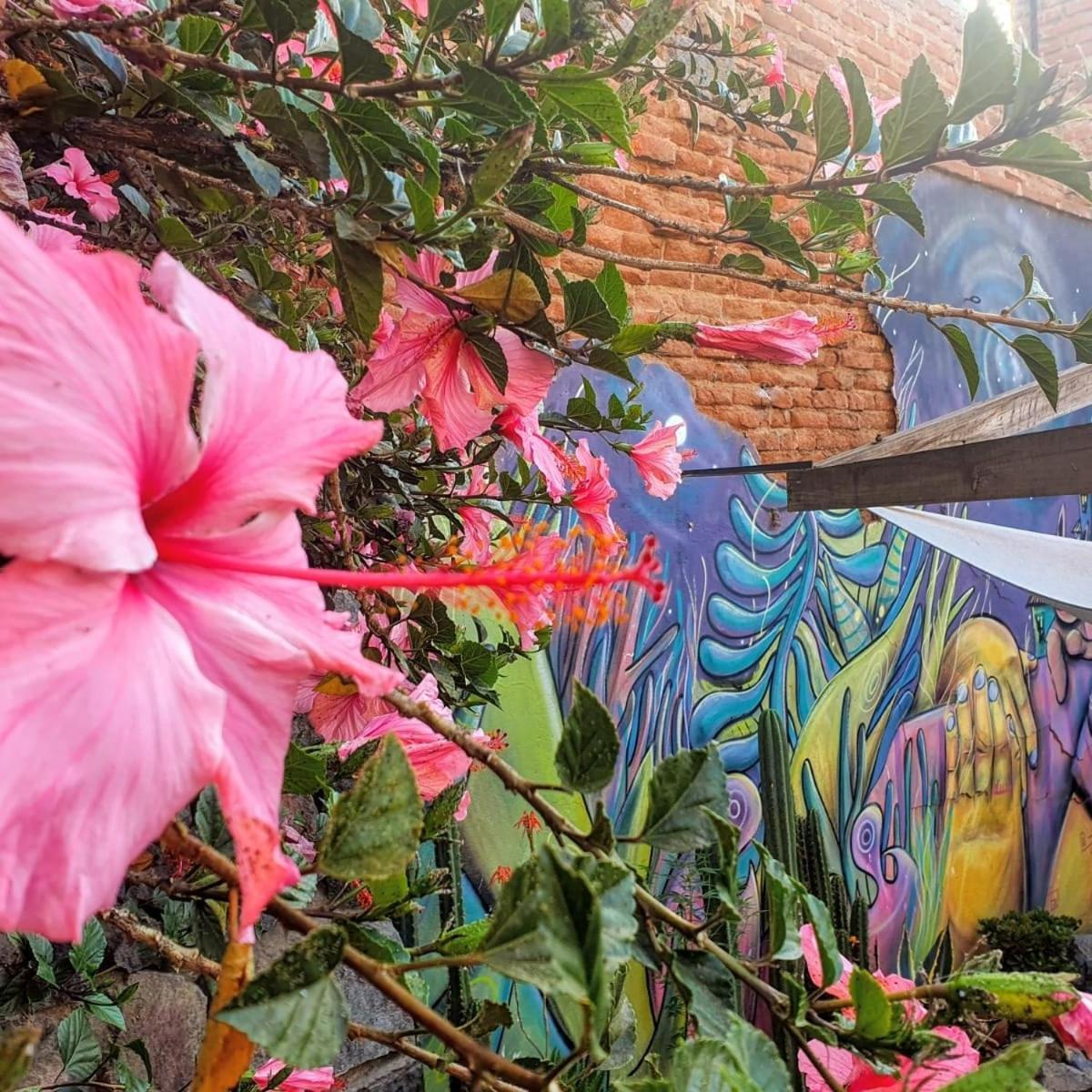 La Casa Piola Hostel Valparaíso Kültér fotó